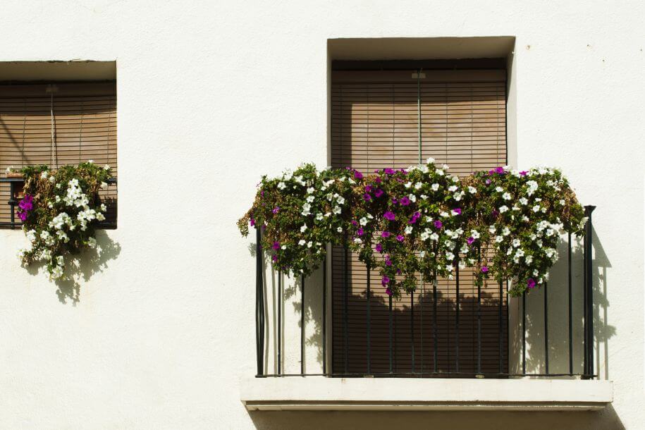 kwiaty na balkon zwisające