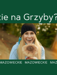 gdzie na grzyby mazowieckie