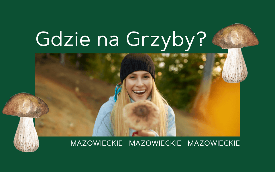 gdzie na grzyby mazowieckie