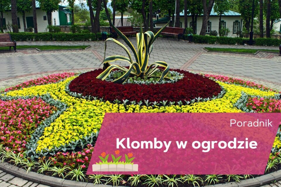 klomby w ogrodzie