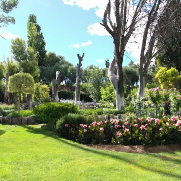 Zadbany ogród przez cały sezon